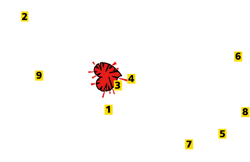 The Main Causes of Heart Disease